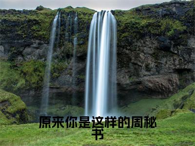 小说(原来你是这样的周秘书)_周昕傅则全文阅读_原来你是这样的周秘书免费阅读大结局