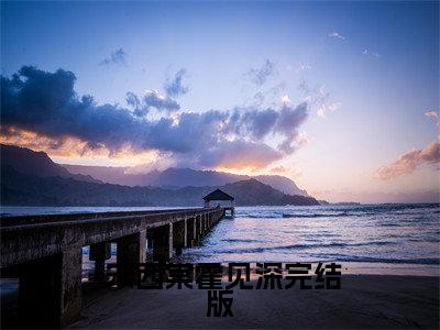小说先孕后爱：禁欲糙汉非要和我结婚无弹窗免费阅读-新上热文小说（ 宋西棠霍见深）讲的是什么