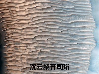 齐司珩沈云黎(沈云黎齐司珩)完整全文在线阅读_沈云黎齐司珩小说全章节目录阅读(齐司珩沈云黎)