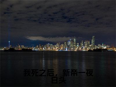 我死之后,新帝一夜白头(苏婳夜寒殇)小说小说全集 苏婳夜寒殇无删减在线阅读