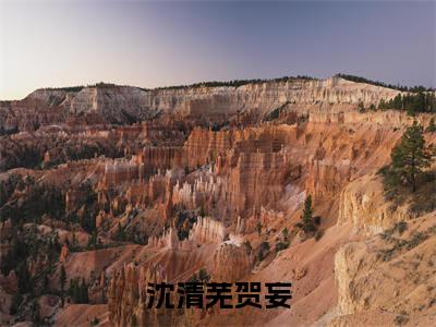 沈清芜贺妄(贺妄沈清芜)免费全文阅读小说_(沈清芜贺妄)贺妄沈清芜最新章节列表-笔趣阁(沈清芜贺妄)