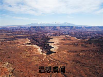 虞闻温想小说(温想虞闻)全文免费读无弹窗大结局_虞闻温想小说免费阅读-笔趣阁(温想虞闻)