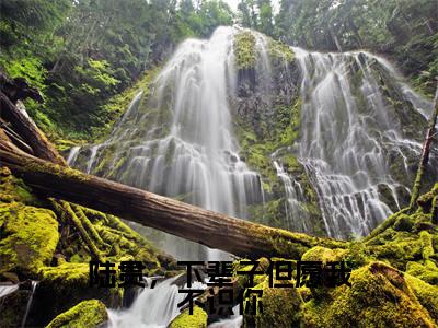 盛惜陆贯(陆贯,下辈子但愿我不识你)小说在线阅读-最新小说陆贯,下辈子但愿我不识你(盛惜陆贯)全文阅读