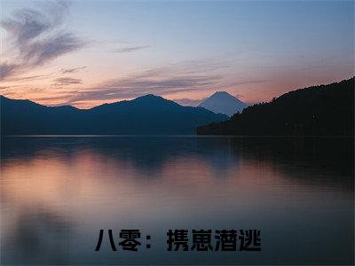 八零：携崽潜逃，首长他坐不住了全文免费阅读_八零：携崽潜逃，首长他坐不住了（ 宋晏宁何婉仪免费阅读无弹窗） 宋晏宁何婉仪最新章节列表笔趣阁