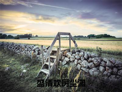 厉尘渊盛清欢全文免费在线阅读_(盛清欢厉尘渊全文免费阅读无弹窗大结局)