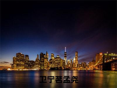 孟尧卫宁茗小说全文-卫宁茗孟尧精选小说孟尧卫宁茗大结局阅读