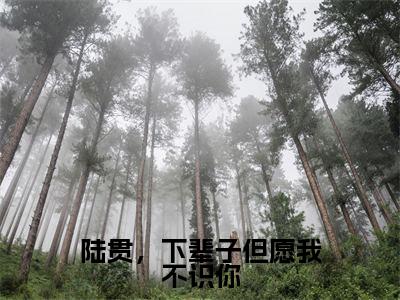 陆贯，下辈子但愿我不识你（盛惜陆贯）全文免费阅读无弹窗大结局_陆贯，下辈子但愿我不识你最新章节列表（盛惜陆贯）
