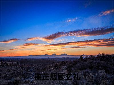 顾玄礼谢芷烟小说谢芷烟顾玄礼最新章节阅读-最新热点小说顾玄礼谢芷烟