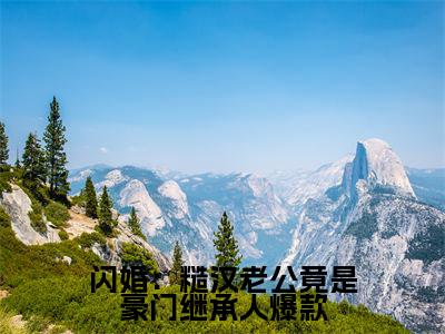 主角是 叶暖秦烈的小说叫什么名字闪婚：糙汉老公竟是豪门继承人-老书虫书荒推荐热点小说闪婚：糙汉老公竟是豪门继承人（ 叶暖秦烈）