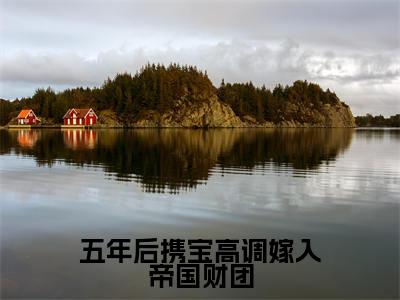 林清语陆司霆(完整版)热文小说阅读-林清语陆司霆全文抖音热推