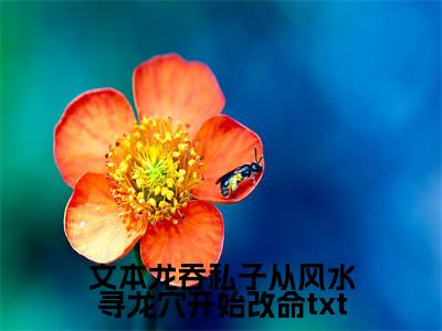  刘雯雯龙十八（文本龙吞私子从风水寻龙穴开始改命小说）全文免费阅读无弹窗大结局_（ 刘雯雯龙十八）文本龙吞私子从风水寻龙穴开始改命小说最新章节列表_笔趣阁（文本龙吞私子从风水寻龙穴开始改命小说）