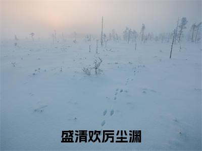 小说厉尘渊盛清欢全文免费阅读无弹窗大结局-盛清欢厉尘渊厉尘渊盛清欢免费阅读大结局