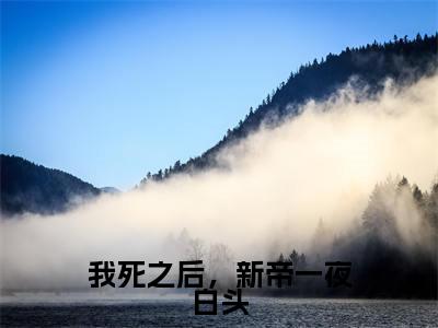 我死之后,新帝一夜白头(苏婳夜寒殇小说)全文免费阅读无弹窗大结局-苏婳夜寒殇小说最新章节列表_笔趣阁