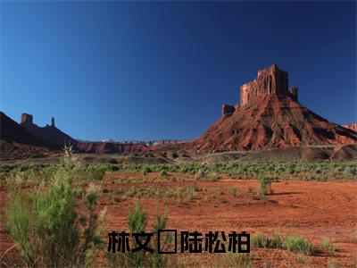【完整版】(林文珺陆松柏小说陆松柏林文珺)精彩小说全本资源免费阅读结局无删节_陆松柏林文珺全章节阅读