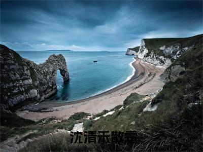 小说（贵妃娘娘宫女出身，皇上偏宠着） 沈清禾散霜精选片段阅读-小说 沈清禾散霜免费版最新更新阅读