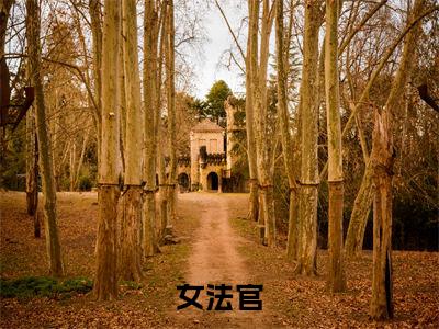 （女法官）贺林立傅晓星小说小说全文免费贺林立傅晓星读最新章节列表笔趣阁（女法官）