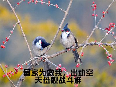 国家为救我，出动空天母舰战斗群（林北）全文免费阅读无弹窗大结局_（林北）最新章节