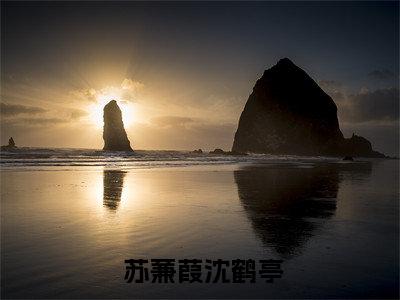  苏蒹葭沈鹤亭（ 苏蒹葭沈鹤亭）全文免费阅读无弹窗大结局_重生错嫁前晚，我找上前夫他爹最新章节列表_
