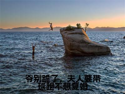 颜落龙桀(爷别跪了,夫人要带球跑不想复婚)小说结局-颜落龙桀全文无弹窗阅读