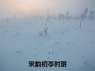 岑时珉宋韵初小说宋韵初岑时珉完整版阅读 宋韵初岑时珉全文在线赏析