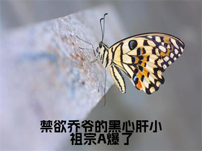 黎清清乔时野(禁欲乔爷的黑心肝小祖宗A爆了)在线阅读小说全文无删减-禁欲乔爷的黑心肝小祖宗A爆了小说大结局