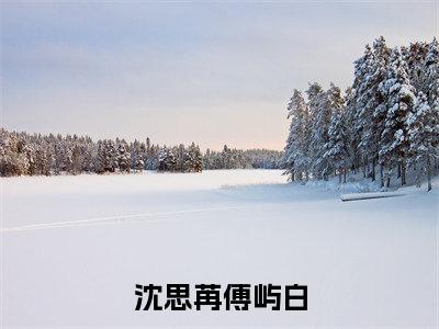 沈思苒傅屿白抖音傅屿白沈思苒小说阅读完结版-小说傅屿白沈思苒全文免费阅读