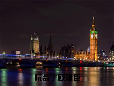 阮荔宁顾瑾臣(顾瑾臣阮荔宁)小说全文免费阅读无弹窗_(顾瑾臣阮荔宁)最新章节列表_笔趣阁