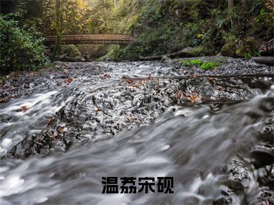温荔宋砚精选热门好书-温荔宋砚(宋砚温荔)全文无删减版在线阅读