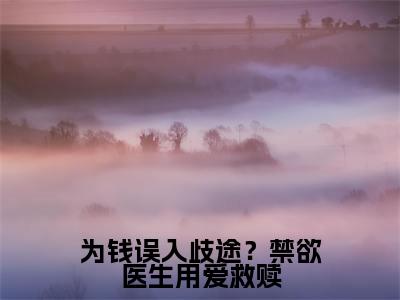  林棉宋泽远是为钱误入歧途？禁欲医生用爱救赎的小说_主角是 林棉宋泽远免费阅读_ 林棉宋泽远小说免费阅读-笔趣阁