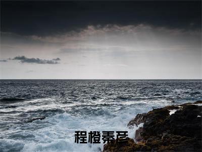 小说名字是：程橙秦彦小说免费阅读无弹窗,小说名字是：秦彦程橙的小说在线阅读无删减
