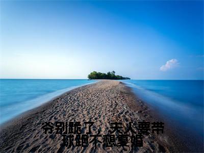 颜落龙桀(爷别跪了,夫人要带球跑不想复婚)全文免费阅读无弹窗大结局_颜落龙桀全文免费阅读(爷别跪了,夫人要带球跑不想复婚)最新章节列表_笔趣阁(颜落龙桀)