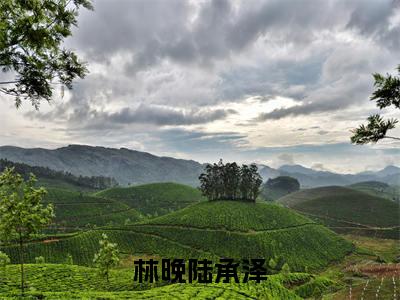 陆承泽林晚(林晚陆承泽)全文免费阅读无弹窗大结局_(陆承泽林晚)林晚陆承泽最新章节列表_笔趣阁(林晚陆承泽)