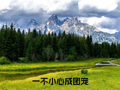 一不小心成团宠（ 陆大糖宝全章节完整版）免费阅读_（ 陆大糖宝）一不小心成团宠全文无删减免费阅读