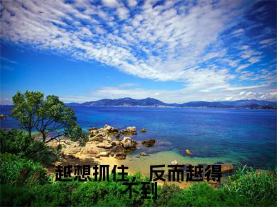 景墨轩冷清歌全文免费阅读大结局-越想抓住,反而越得不到最新章节列表笔趣阁