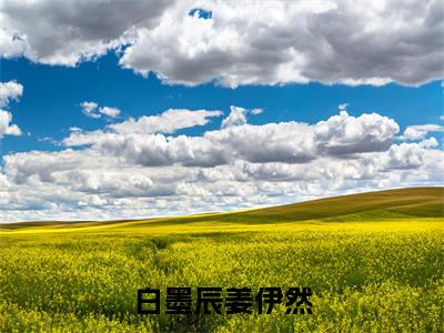 白墨辰姜伊然(姜伊然白墨辰)全文免费阅读无弹窗大结局_白墨辰姜伊然_笔趣阁