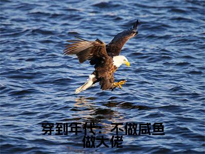 穿到年代:不做咸鱼做大佬沈音小说(沈音)全文在线阅读无弹窗大结局穿到年代:不做咸鱼做大佬