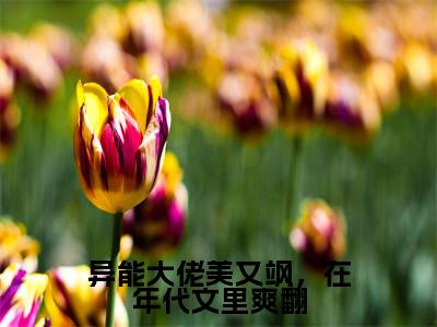 异能大佬美又飒，在年代文里爽翻小说（温念安）精彩免费小说_异能大佬美又飒，在年代文里爽翻全文免费阅读无弹窗大结局笔趣阁