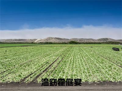 温窈霍庭宴(温窈霍庭宴)全文阅读完整版_温窈霍庭宴小说免费阅读大结局(温窈霍庭宴)