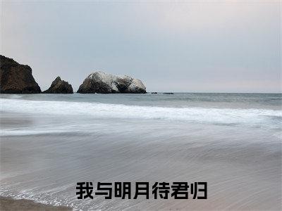 我与明月待君归(苏长清苍澜)全文免费阅读无弹窗大结局_我与明月待君归最新章节列表_笔趣阁(苏长清苍澜)