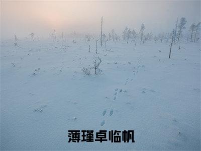 卓临帆薄瑾（薄瑾卓临帆）在哪免费看-小说（薄瑾卓临帆）全文完整版免费阅读卓临帆薄瑾