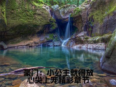 豪门：小公主就得放心尖上宠小说大结局精彩推荐， 安檀容宴西全文完整版在线阅读