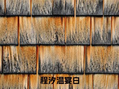 温宴白程汐(程汐温宴白)全文免费阅读_程汐温宴白最新章节小说免费阅读_笔趣阁温宴白程汐