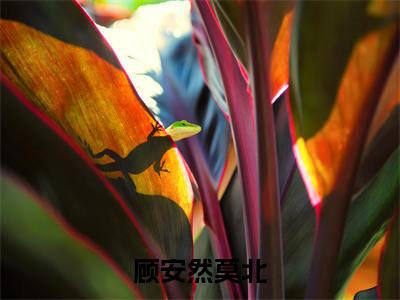 顾安然莫北全文免费阅读无弹窗大结局_(莫北顾安然)顾安然莫北小说免费阅读完整版全文大结局