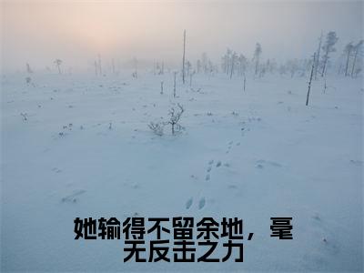 霍项南慕雪双全文免费阅读大结局-她输得不留余地,毫无反击之力最新章节阅读