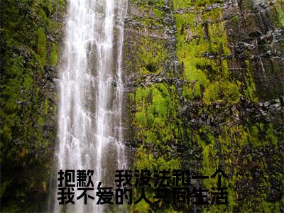 抱歉,我没法和一个我不爱的人共同生活(陆思湉陆红珠魏成风)完结版小说-抱歉,我没法和一个我不爱的人共同生活小说全文免费阅读笔趣阁