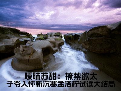 （ 靳沉寒孟洛柠）是什么小说-（暧昧苏甜：撩禁欲太子爷入怀靳沉寒孟洛柠试读大结局）全文免费阅读无弹窗大结局（ 靳沉寒孟洛柠）最新章节列表_笔趣阁