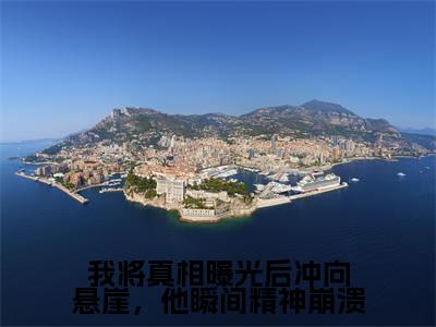 我将真相曝光后冲向悬崖,他瞬间精神崩溃小说免费下载(我将真相曝光后冲向悬崖,他瞬间精神崩溃完整全集已完结大结局小说)_陆哲淮阮乔免费阅读笔趣阁