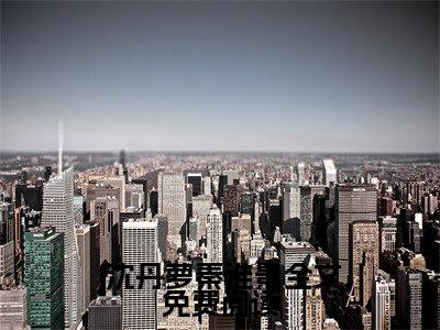  沈丹萝秦淮景（重生：我成了七零年代锦鲤妻）全文免费阅读无弹窗大结局_ 沈丹萝秦淮景在线阅读（重生：我成了七零年代锦鲤妻）
