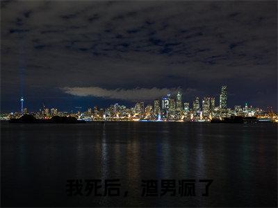 我死后,渣男疯了(程西傅铭煜白媛)全文免费在线阅读_我死后,渣男疯了全文免费阅读无弹窗大结局
