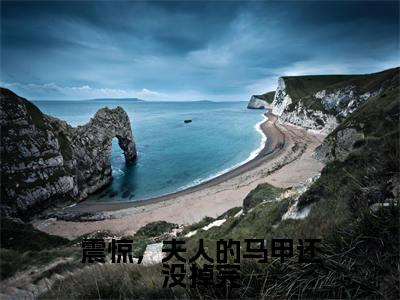 震惊,夫人的马甲还没掉完(安暖陆之宴)全文免费阅读无弹窗大结局_(安暖陆之宴免费阅读全文大结局)震惊,夫人的马甲还没掉完最新章节列表_笔趣阁(震惊,夫人的马甲还没掉完)